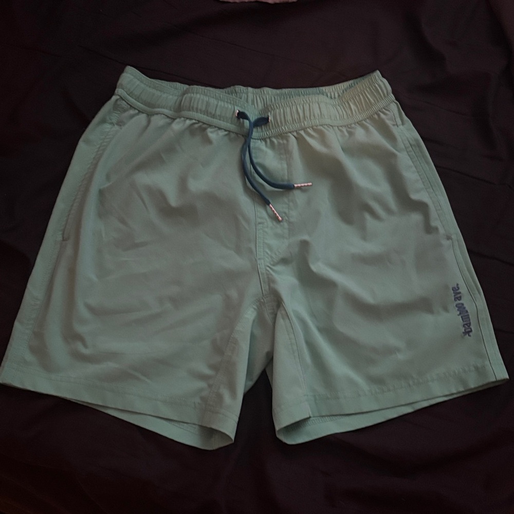 Mint Green Hybrid Shorts